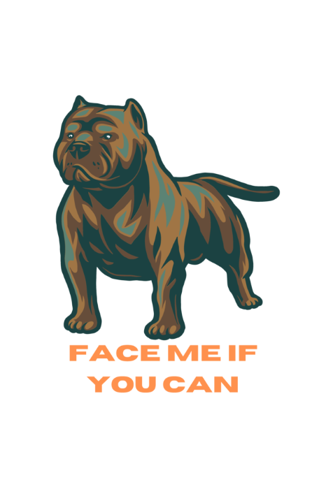 Face Me If You Can Oversized T-shirt - UNISEX